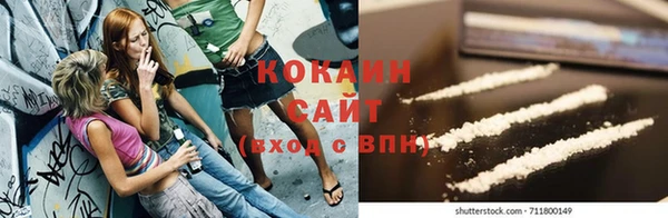 кокс Алексин