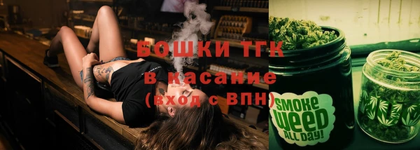 прущие грибы Алзамай