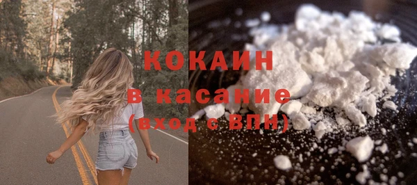 шишки Алексеевка