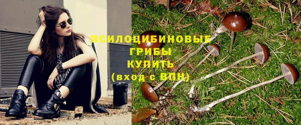 шишки Алексеевка