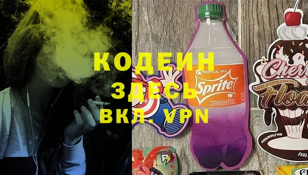 прущие грибы Алзамай