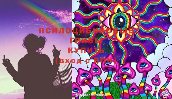 шишки Алексеевка