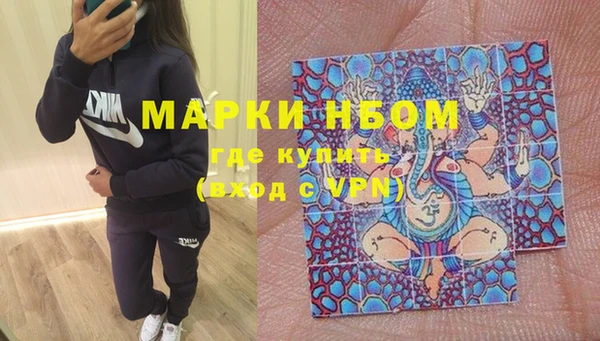 прущие грибы Алзамай