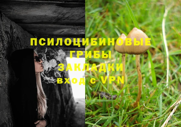 кокс Алексин